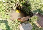 Beni : un enfant chute dans un puits à Benenguli