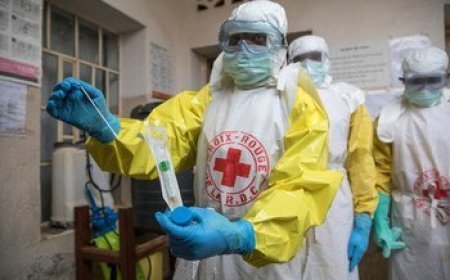 Ebola en RDC : Kisangani devient un nouveau point de surveillance après la détection de deux cas suspects