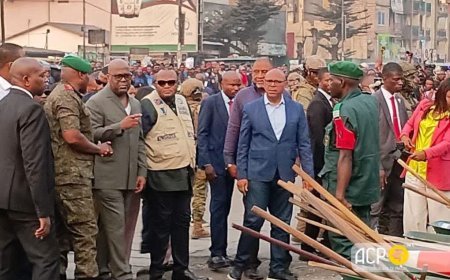 Assainissement à Tshangu : Félix Tshisekedi inspecte les chantiers du boulevard Lumumba