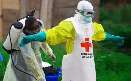Nord-Kivu : huit nouveaux cas d’Ebola, le bilan grimpe à 245 cas et 157 décès