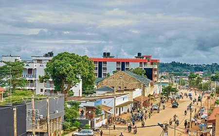 Est de la RDC : 31 corps de civils tués par des présumés rebelles des ADF découverts dans plusieurs localités de Beni
