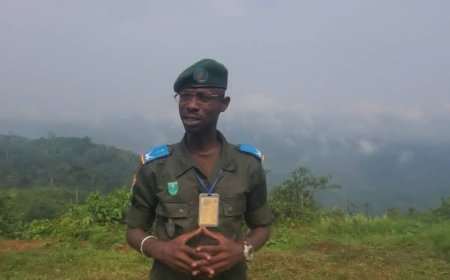 Sud-Kivu : l’armée dénonce de nouvelles exactions de l’AFC-M23/RDF malgré le cessez-le-feu