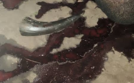 Kasindi : un braqueur armé abattu en pleine opération par les forces de l’ordre dans le quartier Muangaza