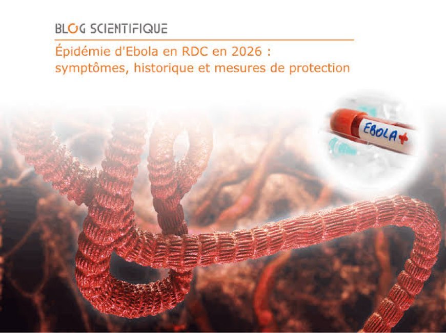 Ebola à Kisangani : ce qu'il faut comprendre sur l'évolution de l'épidémie
