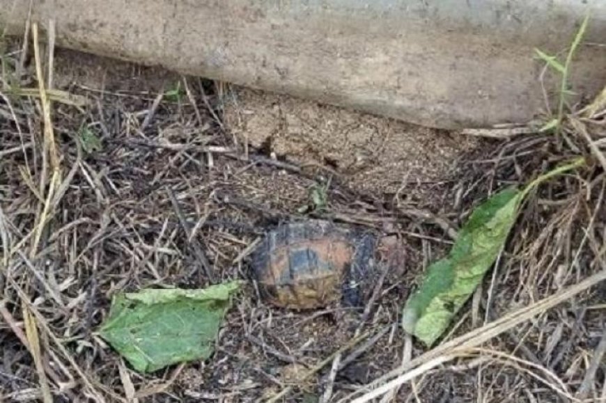 Nord-Kivu : Nouvelle découverte d’explosifs à Mutwanga