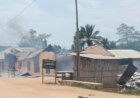 Horreur à Mambasa : 16 nouveaux corps découverts, la société civile dénonce l'inertie face aux massacres des ADF