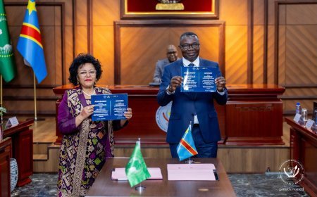 Coopération africaine : L'AUDA-NEPAD pose ses valises à Kinshasa pour booster l'Agenda 2063