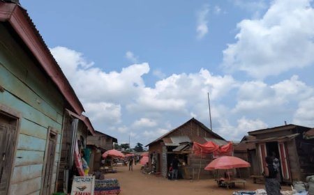 Ituri : les ADF encerclent la RN 4 et instaurent une « taxe de la terreur » à Irumu