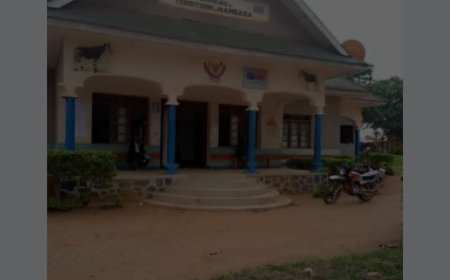 Ituri : Plus de 300 civils tués et des milliers de déplacés dans une vague d’attaques des ADF à Mambasa