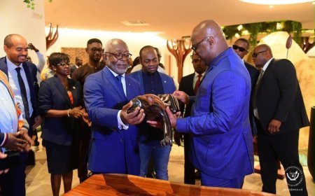 Coopération RDC-Gabon : Félix Tshisekedi explore le modèle de la Zone Industrielle de Nkok pour dynamiser la filière bois congolaise