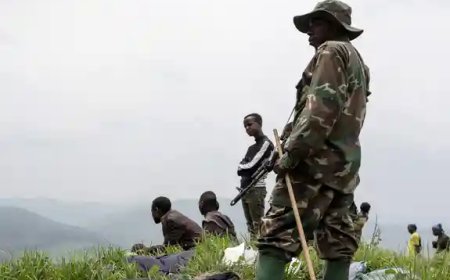 Nord-Kivu : Plus de 100 civils kidnappés par le M23, la stratégie de la terreur et de la rançon s'intensifie