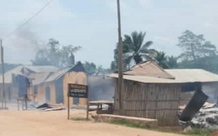 Horreur à Mambasa : 16 nouveaux corps découverts, la société civile dénonce l'inertie face aux massacres des ADF