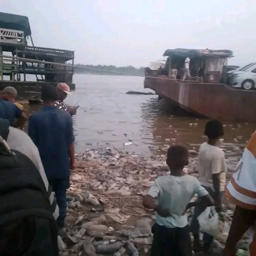 Kisangani : les circonstances ayant conduit au naufrage d'une baleinière au port forestier