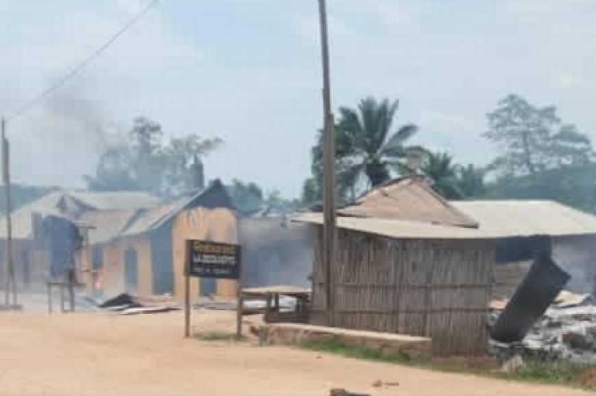 Horreur à Mambasa : 16 nouveaux corps découverts, la société civile dénonce l'inertie face aux massacres des ADF