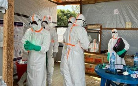 Épidémie d'Ebola en RDC : le bilan grimpe à 6 100 cas confirmés mais la propagation géographique se stabilise