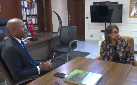 Londres et Kinshasa renforcent leurs liens : cap sur le sommet économique de novembre
