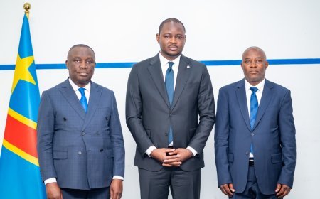 RENATELSAT : le Conseil d’administration examine les dossiers urgents et accompagne la réforme de l’établissement