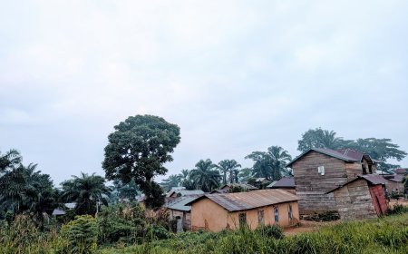 Ituri : Sous le masque des « Wazalendo », de faux miliciens terrorisent et rançonnent la population à Irumu