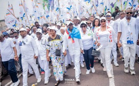 RDC : l’UDPS mobilise ses militants dans les rues de Kinshasa