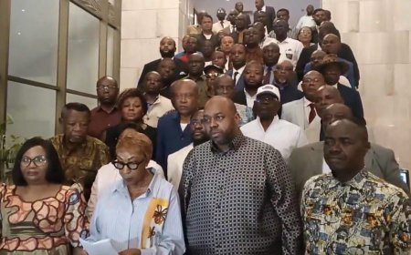 RDC : l’AAAP de Tony Kanku Shiku soutient la démarche de dialogue national initiée par Félix Tshisekedi