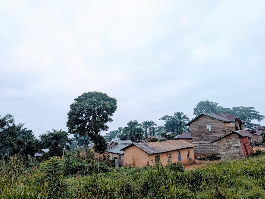 Ituri : Sous le masque des « Wazalendo », de faux miliciens terrorisent et rançonnent la population à Irumu
