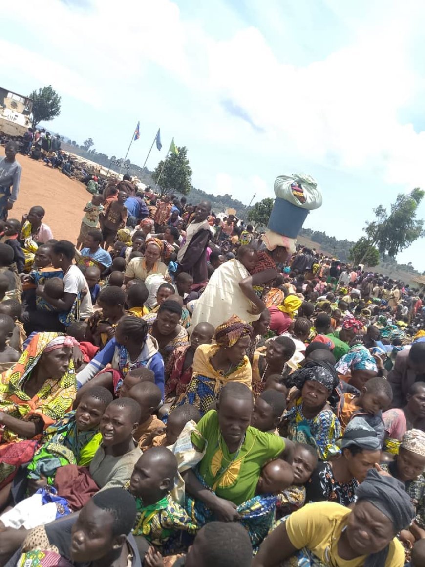 Ituri : Sous les balles, plus de 3 000 civils sous la protection des Casques bleus à Rhoo et Gina