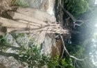 Kabeya Kamuanga : les habitants de Dikundi plaident pour un pont moderne sur la rivière Diyaya