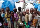 RDC : plus de 266 millions de personnes confrontées à l’insécurité alimentaire aiguë dans le monde, le pays parmi les plus touchés