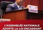 RDC : l’Assemblée nationale adopte la loi fixant les conditions d’organisation du référendum