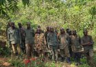 Sud-Kivu : un combattant présenté comme rwandais capturé et des rebelles rendus aux FARDC dans les Hauts Plateaux de Fizi