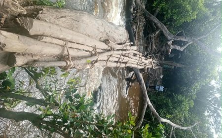 Kabeya Kamuanga : les habitants de Dikundi plaident pour un pont moderne sur la rivière Diyaya