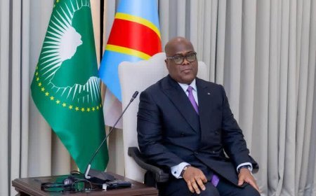 RDC : Félix Tshisekedi échange avec le Panel des facilitateurs de l’UA sur les processus de paix de Washington et de Doha