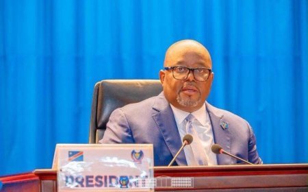RDC : l’Assemblée nationale déclare recevables trois textes sur la nature, les prisons et l’enseignement supérieur