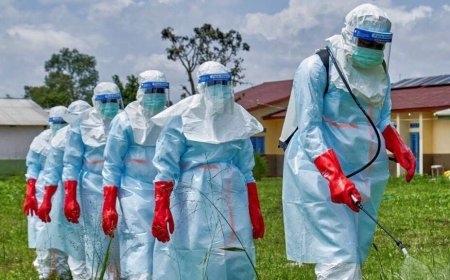 RDC : Ebola, politique, visa électronique et situation universitaire au cœur de l’actualité