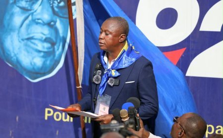 RDC : le PALU appelle Joseph Kabila à renoncer à la lutte armée et exhorte Félix Tshisekedi à accélérer le dialogue national