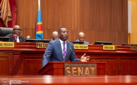 RDC : le Sénat déclare recevable le projet de loi sur le cadre légal de l’activité statistique