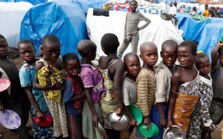 RDC : plus de 266 millions de personnes confrontées à l’insécurité alimentaire aiguë dans le monde, le pays parmi les plus touchés