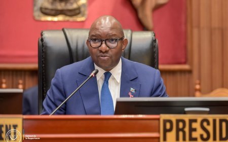 RDC : le Sénat adopte à l’unanimité la loi sur le marché du carbone et exige une répartition équitable des revenus