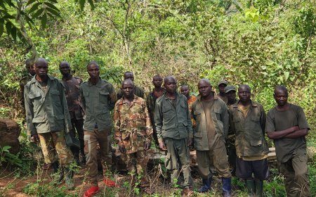 Sud-Kivu : un combattant présenté comme rwandais capturé et des rebelles rendus aux FARDC dans les Hauts Plateaux de Fizi