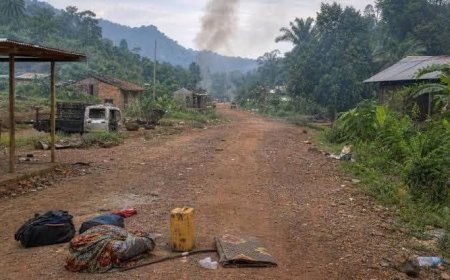 NORD-KIVU : DES AFFRONTEMENTS SIGNALÉS ENTRE LES WAZALENDO ET LE FRN À WALIKALE