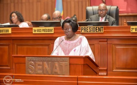 RDC : la sénatrice Christine Mwando quitte l’hémicycle en pleine séance consacrée à la loi référendaire