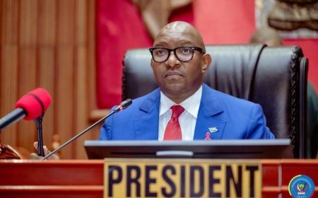 RDC : le Sénat adopte en seconde lecture la loi fixant les conditions d’organisation du référendum