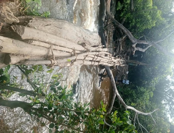 Kabeya Kamuanga : les habitants de Dikundi plaident pour un pont moderne sur la rivière Diyaya