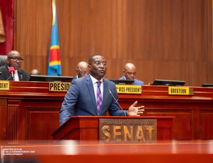 RDC : le Sénat déclare recevable le projet de loi sur le cadre légal de l’activité statistique