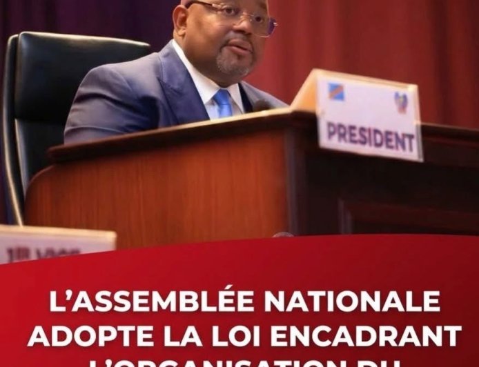 RDC : l’Assemblée nationale adopte la loi fixant les conditions d’organisation du référendum