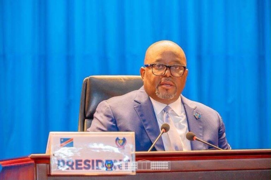 RDC : l’Assemblée nationale déclare recevables trois textes sur la nature, les prisons et l’enseignement supérieur
