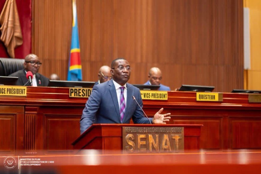 RDC : le Sénat déclare recevable le projet de loi sur le cadre légal de l’activité statistique