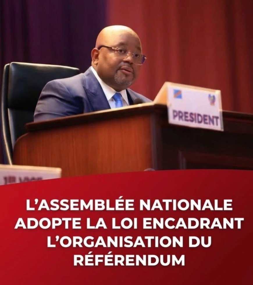 RDC : l’Assemblée nationale adopte la loi fixant les conditions d’organisation du référendum