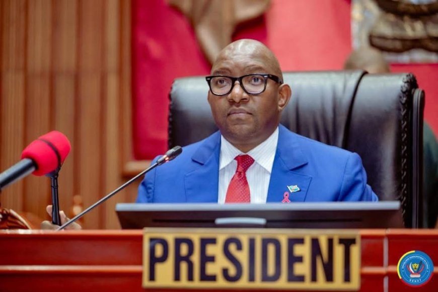 RDC : le Sénat adopte en seconde lecture la loi fixant les conditions d’organisation du référendum